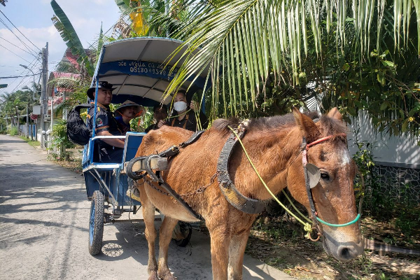 4D3N Ho Chi Minh City/ Cu Chi/ Tay Ninh /Black Virgin Mountain/ My Tho Tour - photo 20
